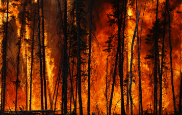 Why Are Extreme Wildfires Increasing Worldwide?